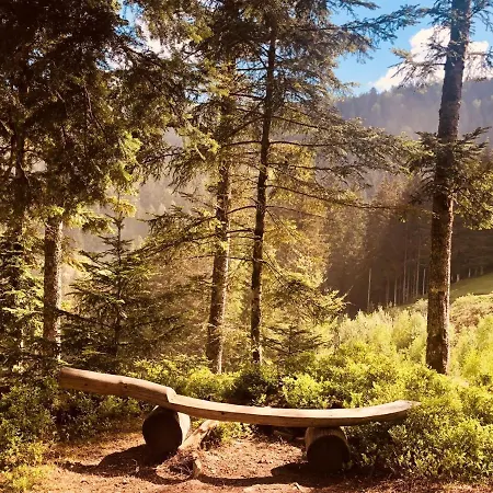 Wiesenchalet Im Sauerland Apartment *