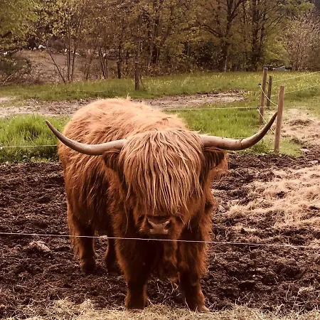 Wiesenchalet Im Sauerland Apartment *