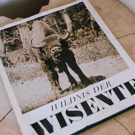 Wiesenchalet Im Sauerland Apartment *