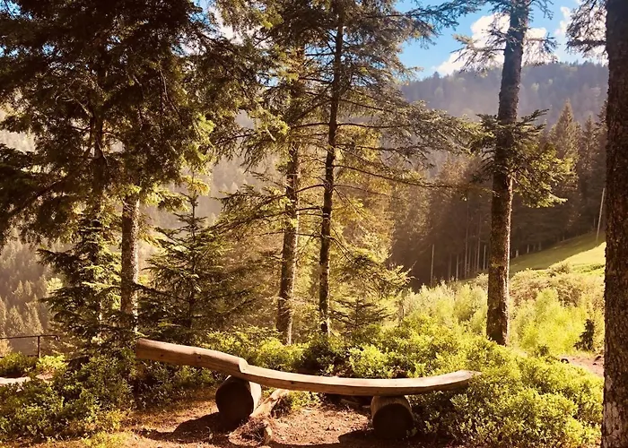 Wiesenchalet Im Sauerland Apartamento *