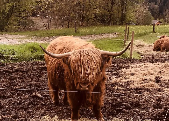 Wiesenchalet Im Sauerland Apartamento *