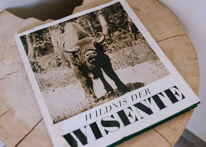 Wiesenchalet Im Sauerland Apartamento *